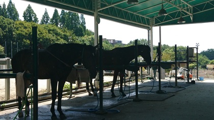 相手のここがイヤってとこは・・・