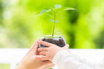 落ち込みから、しなやかに再起する力を身につけるレジリエンス